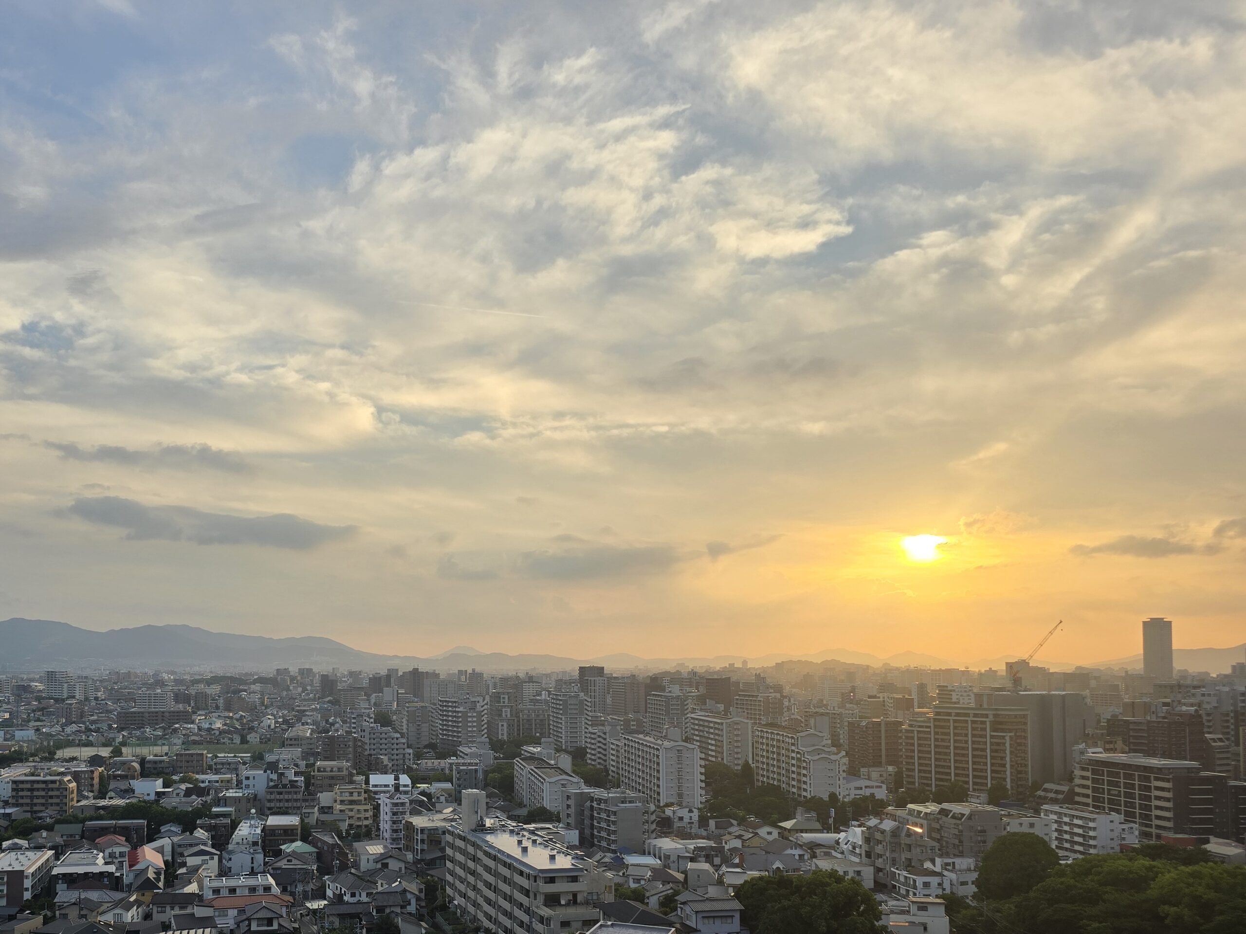 暑気払い🌴